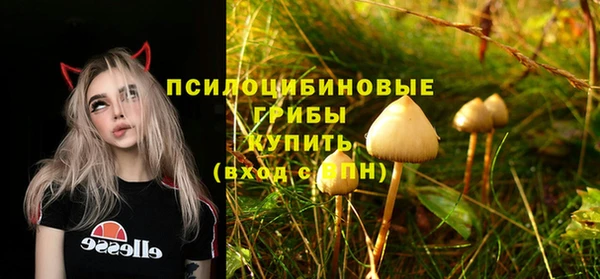 2c-b Алексеевка