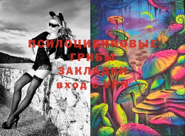 mdpv Алзамай