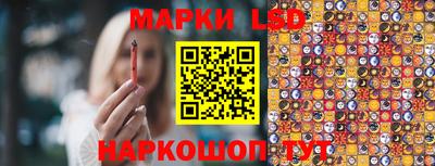 прущие крисы Кингисепп