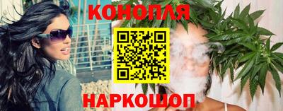 прущие крисы Кингисепп