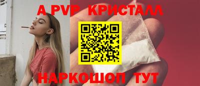 прущие крисы Кингисепп