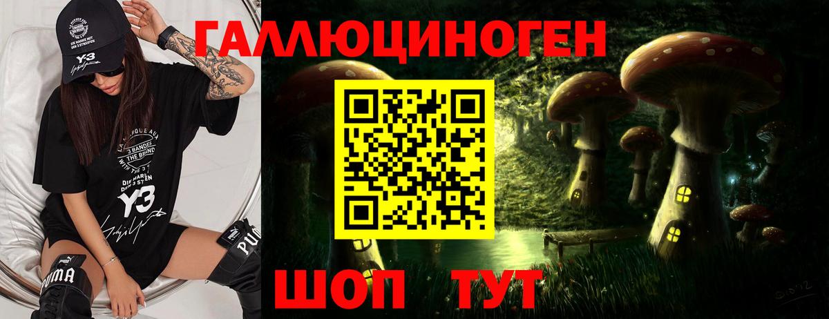 Псилоцибиновые грибы ЛСД Электрогорск