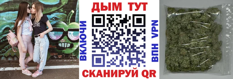Бошки марихуана индика  Электрогорск 